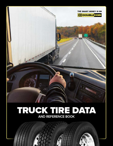 t-Double-Coin-TBR-Data-Book-2